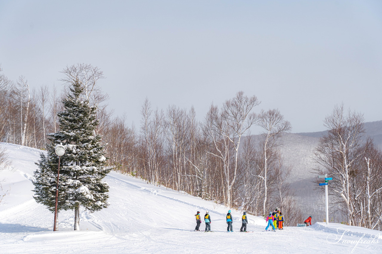 朝里川温泉スキー場　NEWイエローリフト運行開始。そして、新コースも開放間近…。今、北海道で一番“HOT”なスキー場は『ASARI』です！